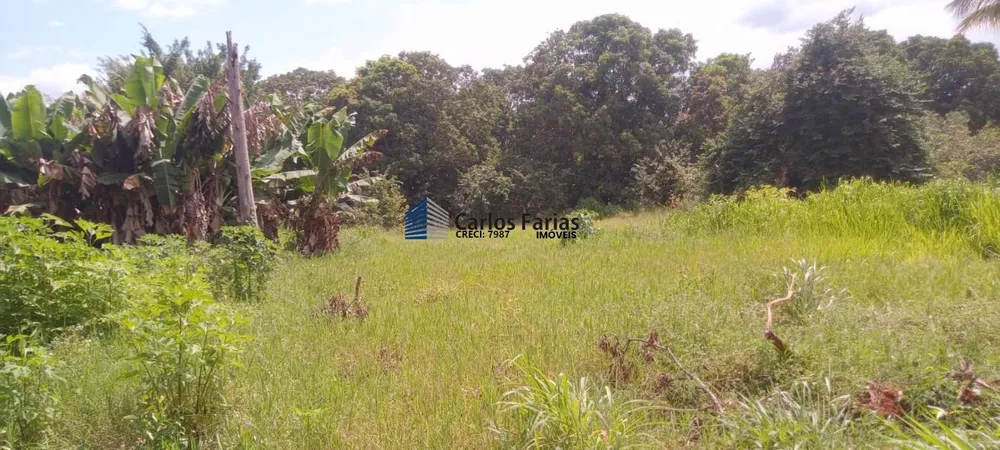 Chácara, 3 quartos, 2 hectares - Foto 11