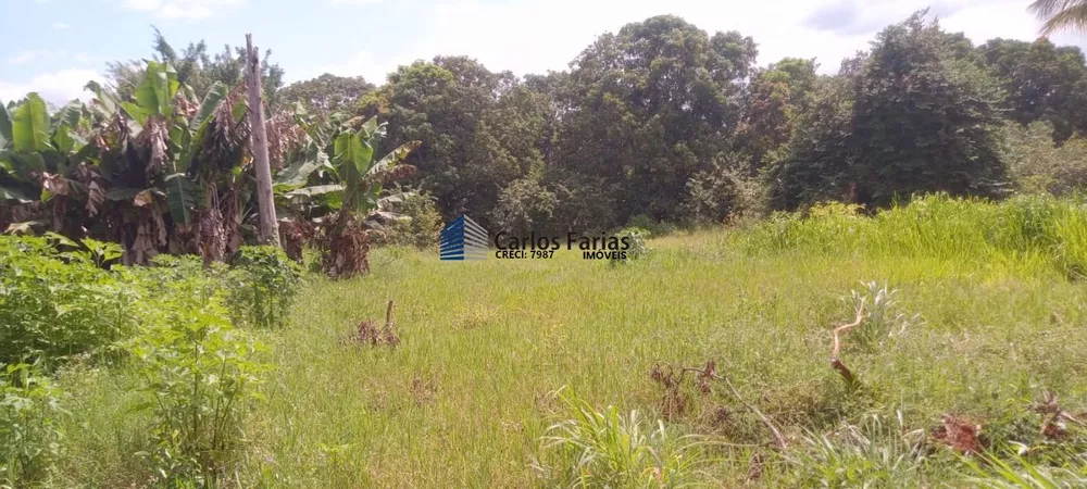 Chácara, 3 quartos, 2 hectares - Foto 4