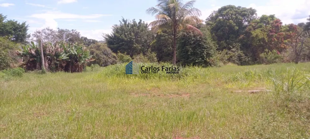 Chácara, 3 quartos, 2 hectares - Foto 13