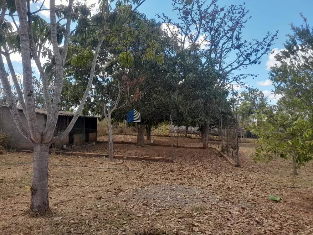 Chácara, 4 quartos, 5000 m² - Foto 4