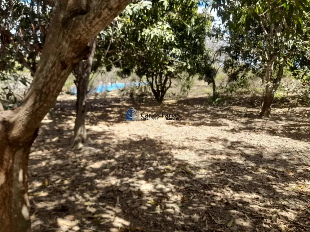 Chácara, 4 quartos, 5000 m² - Foto 14