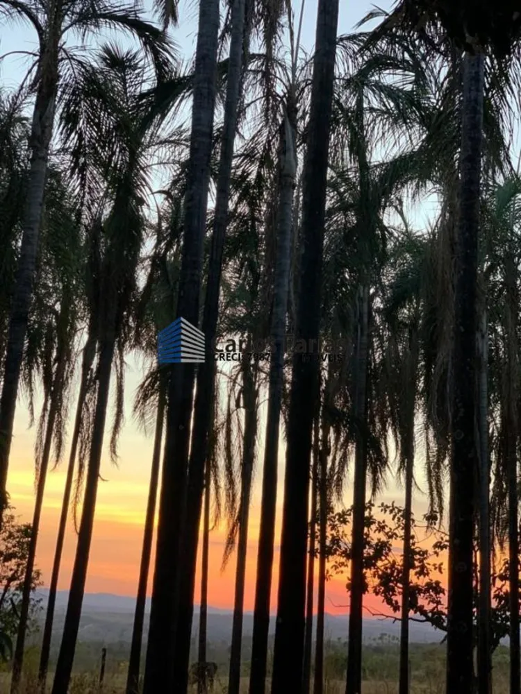 Fazenda, 248 m² - Foto 12