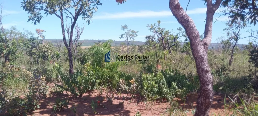 Chácara, 2 hectares - Foto 10