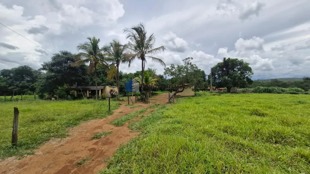 Chácara, 3 quartos, 5 hectares - Foto 3