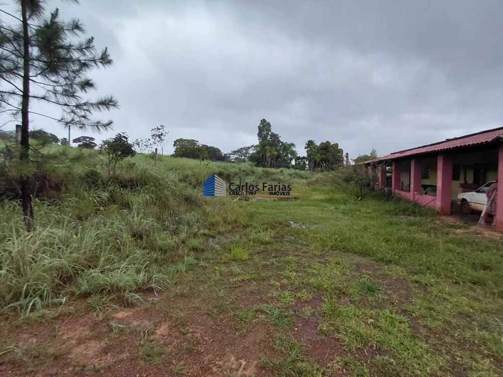 Chácara, 4 quartos, 3 hectares - Foto 10