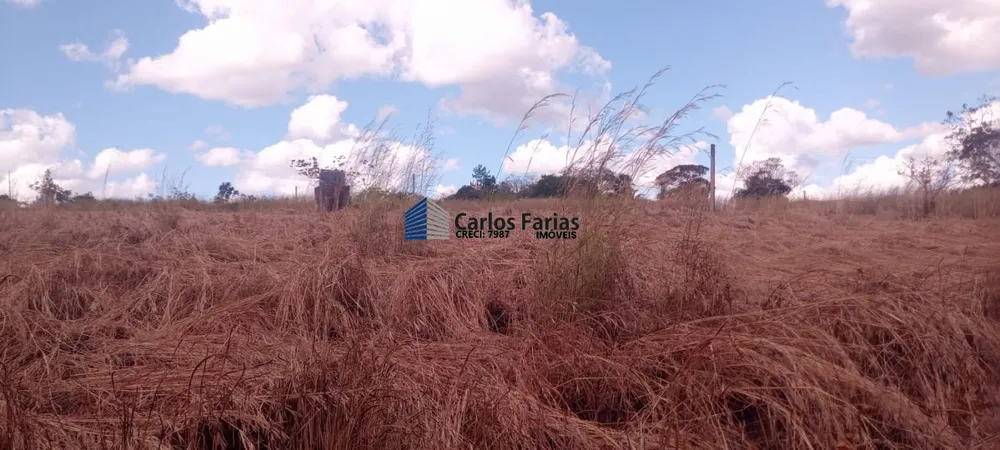 Chácara, 4 quartos, 3 hectares - Foto 4