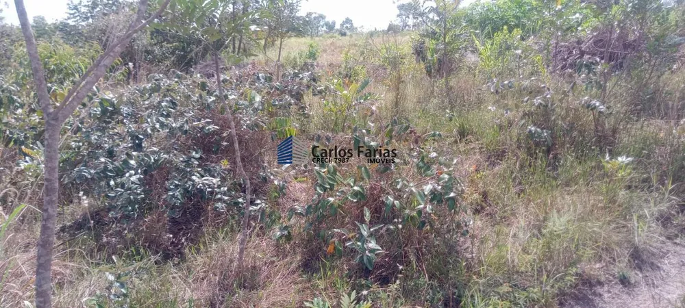 Sítio, 2 hectares - Foto 12