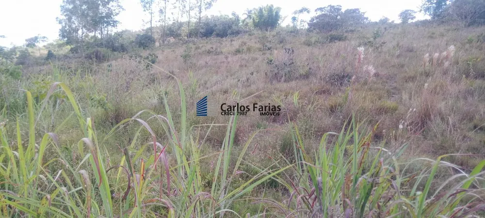 Sítio, 2 hectares - Foto 1