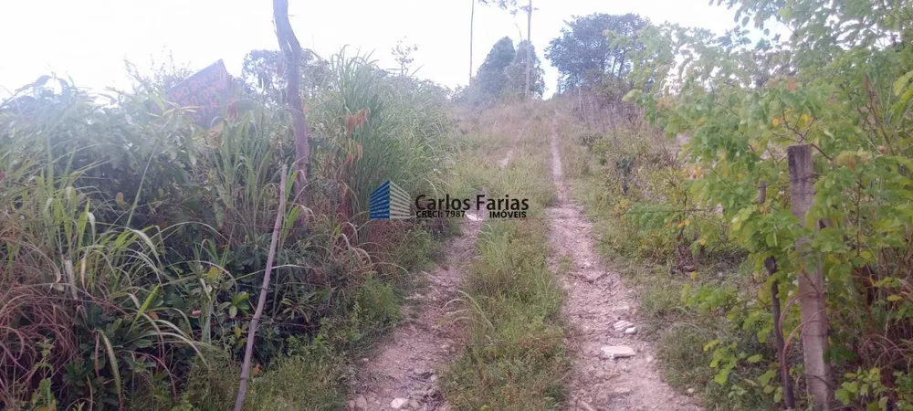Chácara, 2 hectares - Foto 3