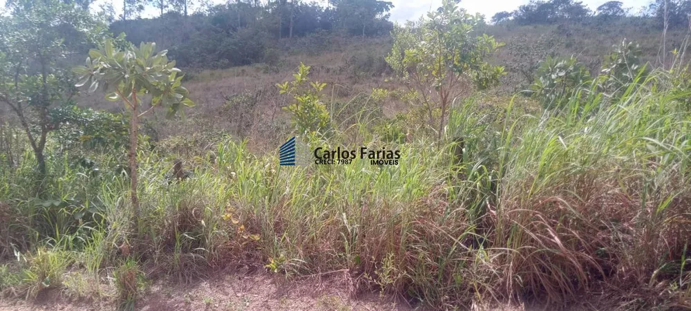 Chácara, 2 hectares - Foto 1