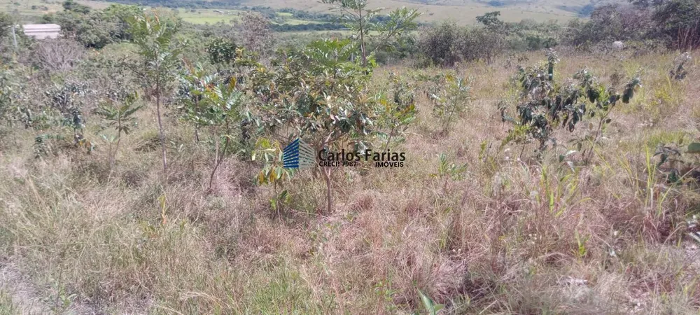 Sítio, 2 hectares - Foto 9
