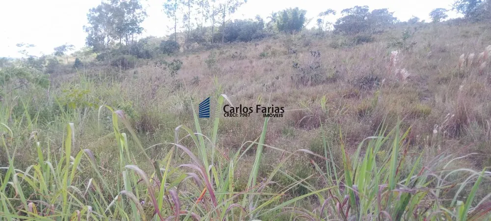 Sítio, 2 hectares - Foto 14