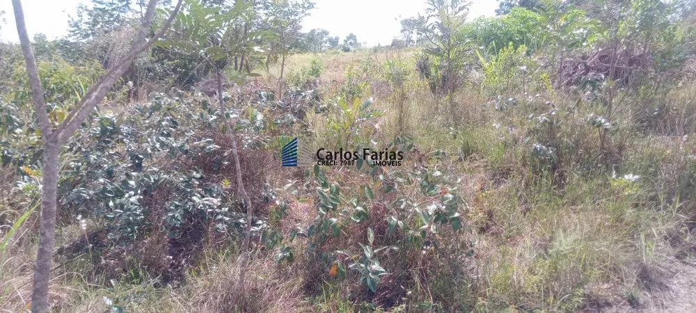 Sítio, 2 hectares - Foto 16
