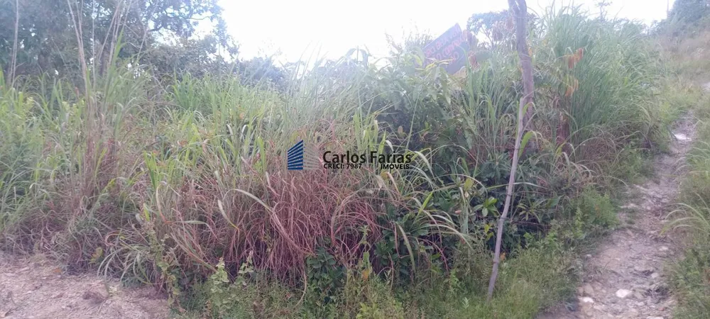 Sítio, 2 hectares - Foto 11
