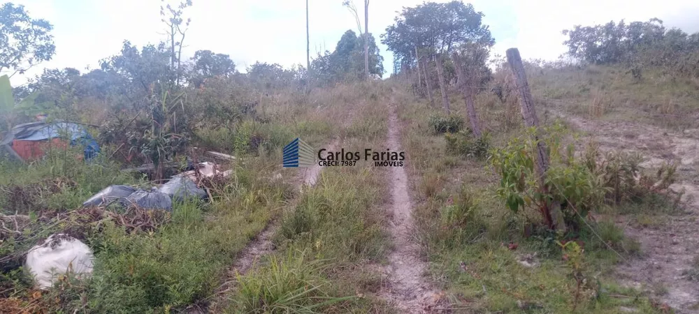 Chácara, 2 hectares - Foto 4