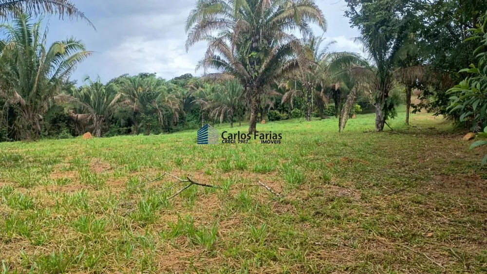 Chácara, 4 quartos, 2 hectares - Foto 10