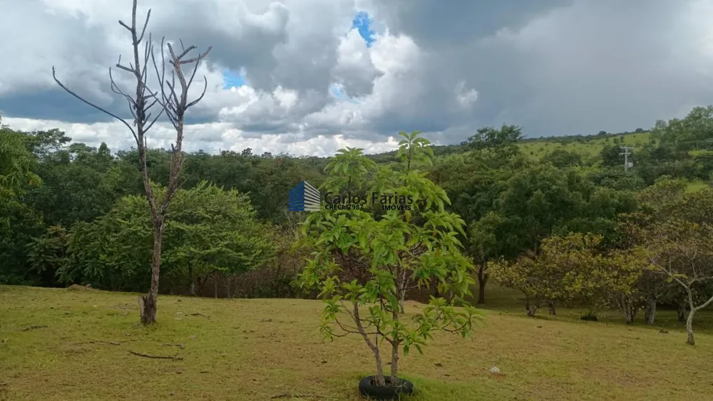Chácara, 4 quartos, 2 hectares - Foto 6