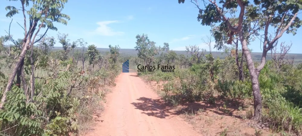 Chácara, 2 hectares - Foto 11
