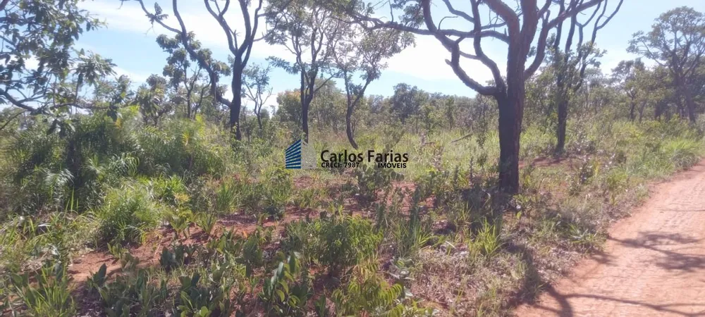 Chácara, 2 hectares - Foto 12