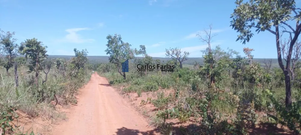 Chácara, 2 hectares - Foto 8