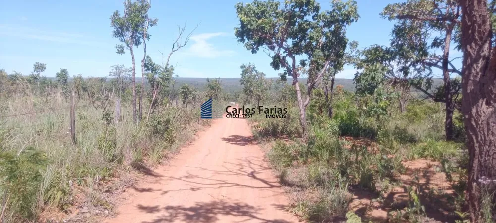Chácara, 2 hectares - Foto 13