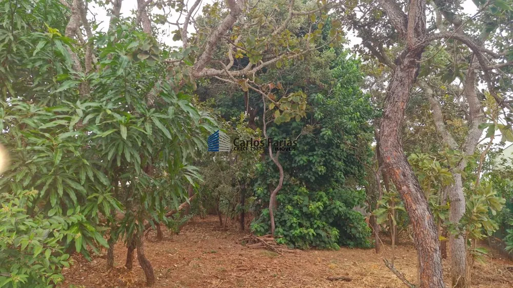 Terreno, 800 m² - Foto 12