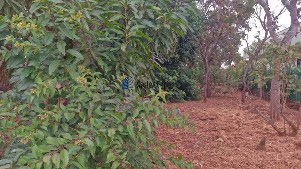 Terreno, 800 m² - Foto 9