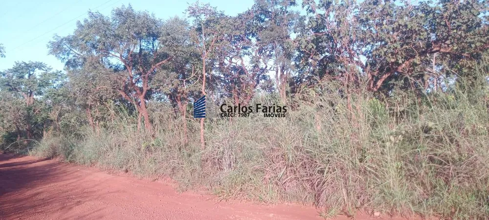 Chácara, 2 hectares - Foto 2