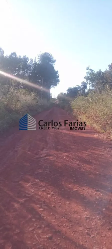 Chácara, 2 hectares - Foto 4