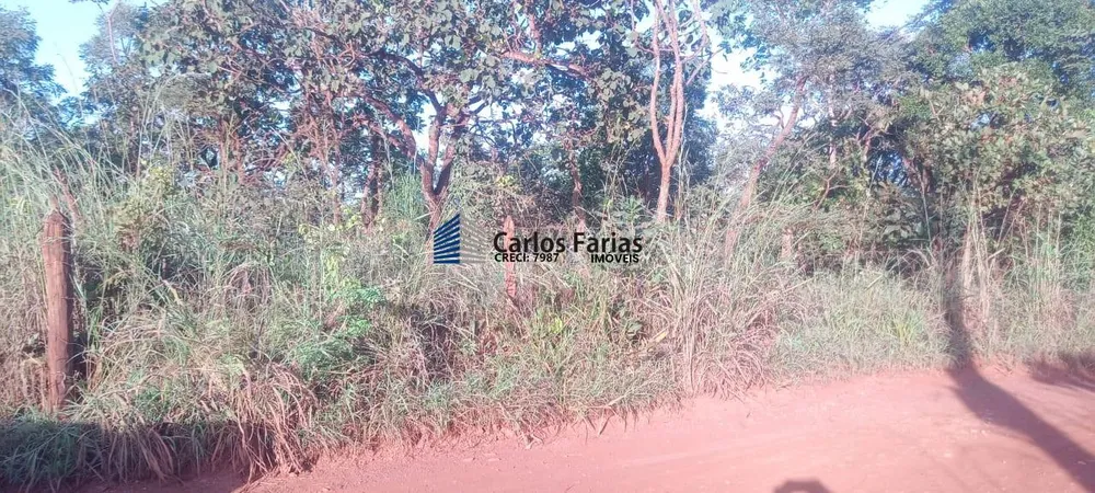 Chácara, 2 hectares - Foto 10