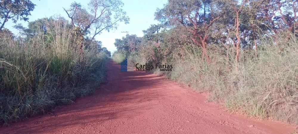 Chácara, 2 hectares - Foto 3