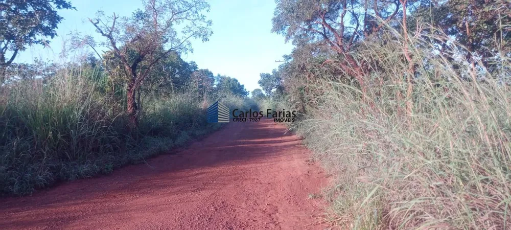 Chácara, 2 hectares - Foto 13