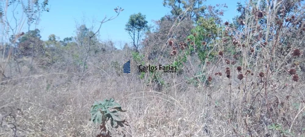Chácara, 2 hectares - Foto 3