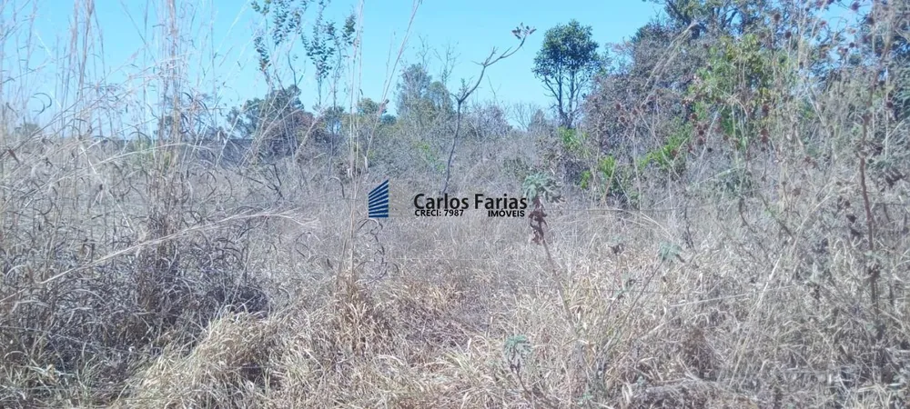 Chácara, 2 hectares - Foto 10