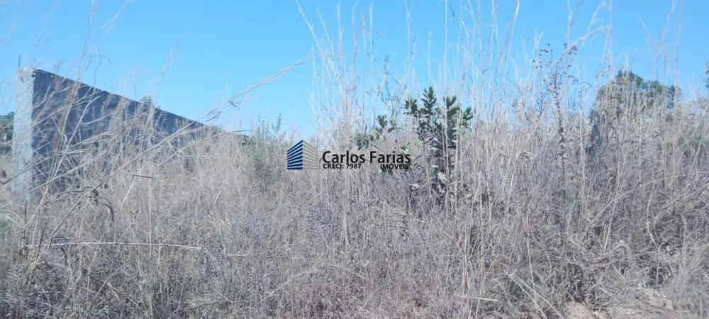Chácara, 2 hectares - Foto 1
