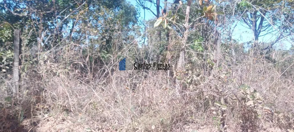 Chácara, 2 hectares - Foto 8