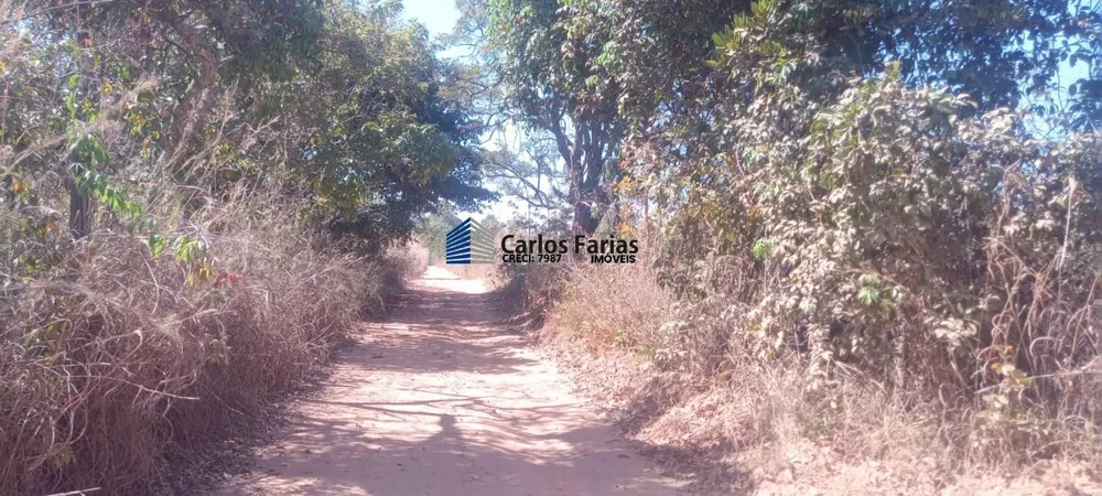 Chácara, 2 hectares - Foto 4