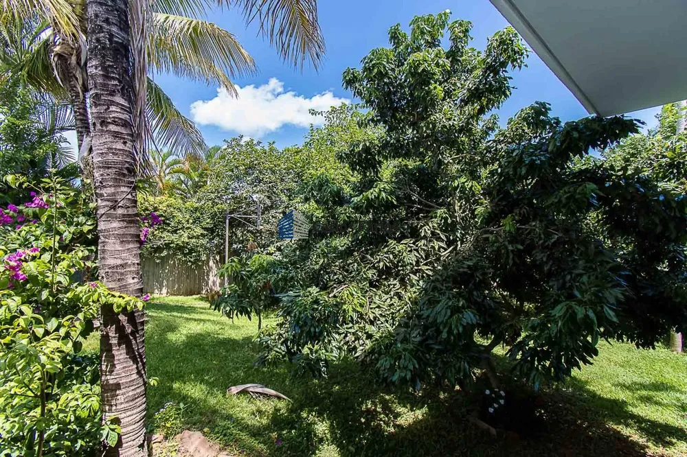 Casa, 5 quartos, 400 m² - Foto 6