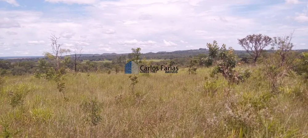 Chácara, 6 hectares - Foto 11