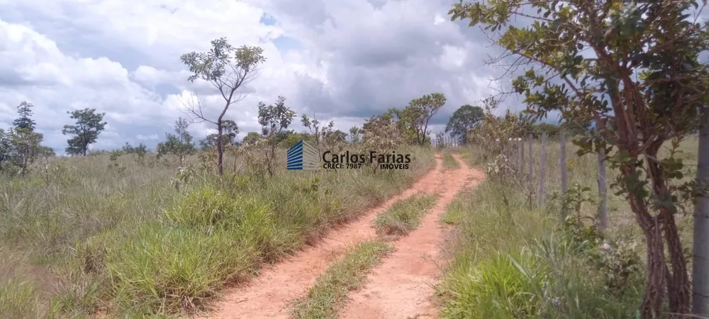 Chácara, 6 hectares - Foto 16