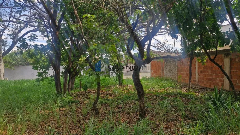 Terreno, 800 m² - Foto 14