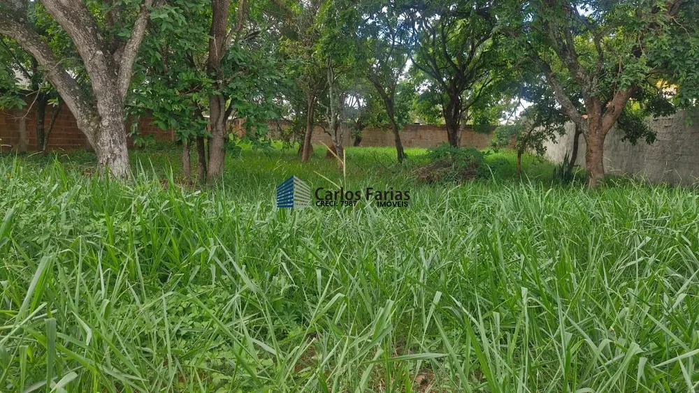 Terreno, 800 m² - Foto 7