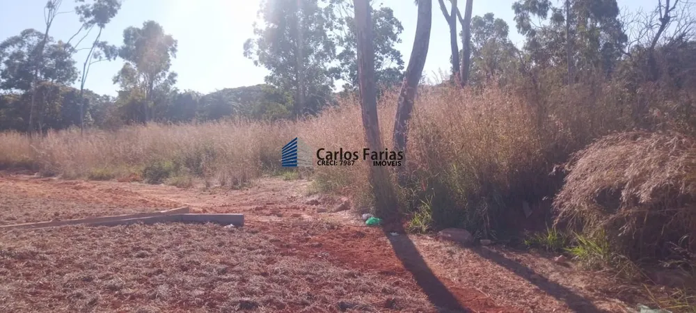 Sítio, 3 quartos, 4 hectares - Foto 15