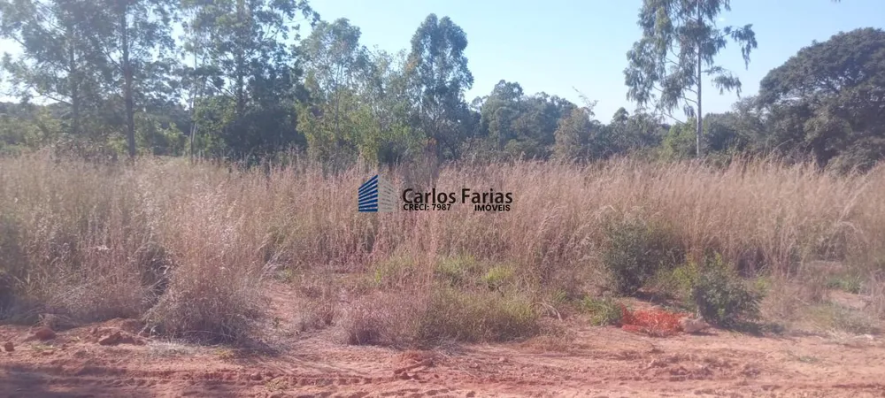 Sítio, 3 quartos, 4 hectares - Foto 3