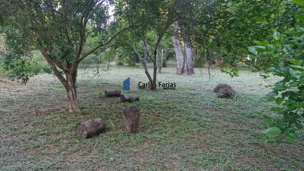 Chácara, 3 quartos, 3 hectares - Foto 4