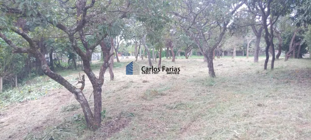 Terreno, 2520 m² - Foto 3
