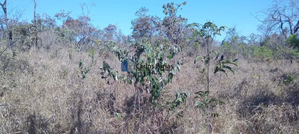 Chácara, 2 hectares - Foto 12