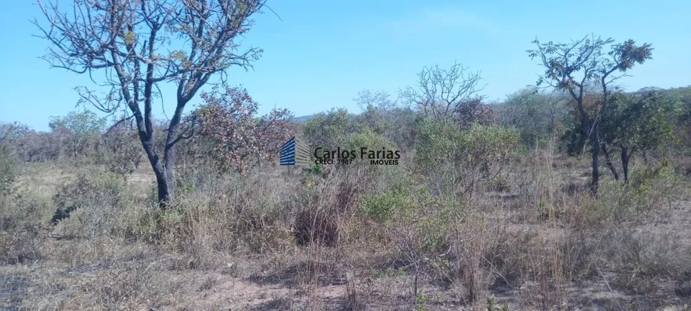 Chácara, 2 hectares - Foto 7