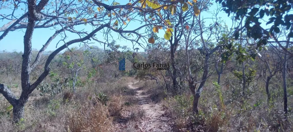 Chácara, 2 hectares - Foto 11