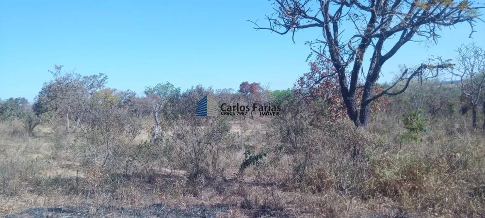 Chácara, 2 hectares - Foto 6